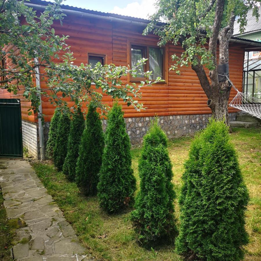 Villa Kotiedzh U Mariny Jaremče Esterno foto