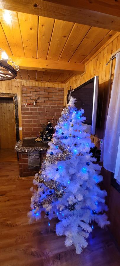Villa Kotiedzh U Mariny Jaremče Esterno foto