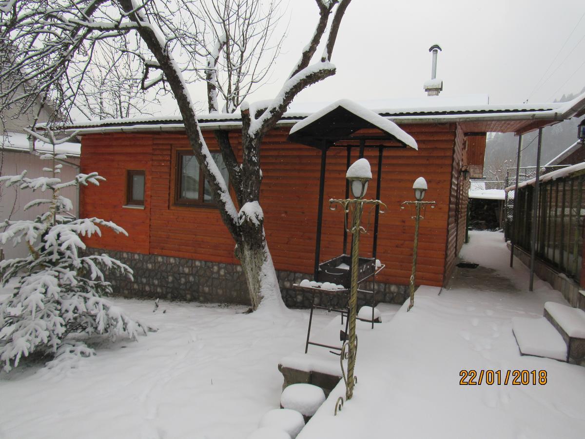 Villa Kotiedzh U Mariny Jaremče Esterno foto